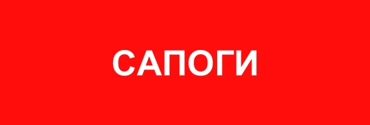 Сапоги