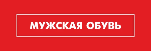 Мужская обувь