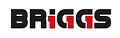 BRIGGS
